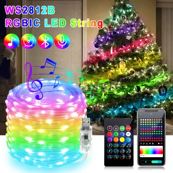 10 М И 5 М Smart Bluetooth Dreamcolor Фея Light Светодиодна Лента Ред 5 В USB RGBIC Ws2812b Празнично Осветление Коледно Парти Синхронизиране на Музика